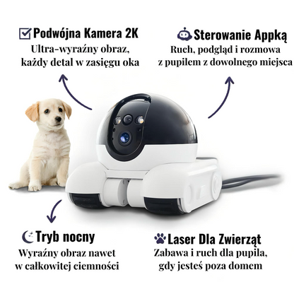 Zoomi™ – Twój Inteligentny Opiekun Pupila